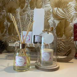 DIFFUSEUR D'AMBIANCE 250ml-ACIGNOLAISE