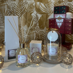 DIFFUSEUR D'AMBIANCE 250ml-L'HIBISCUS