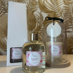 DIFFUSEUR D'AMBIANCE...